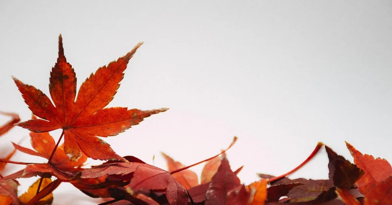 What is the hardest month to sell a house?